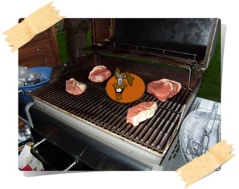 Bild "Photo Gallery:grill.jpg"